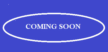 Joyville Faridabad 3bhk Plan Floor Plan